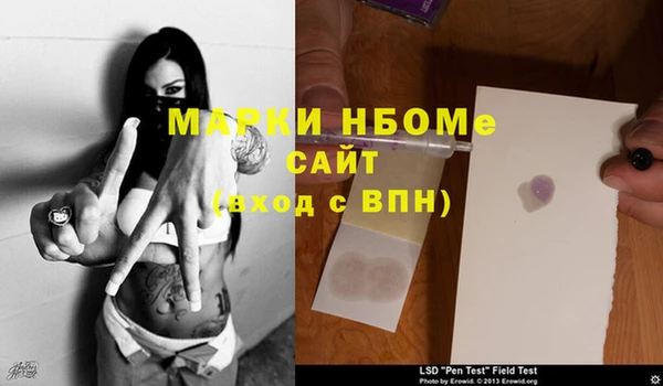 кокс Елизово