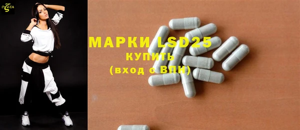 прущие грибы Коряжма