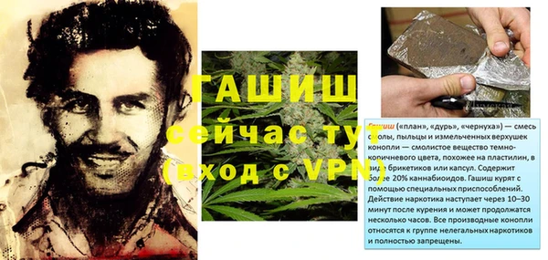 кокс Елизово