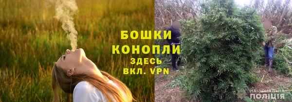 кокс Елизово