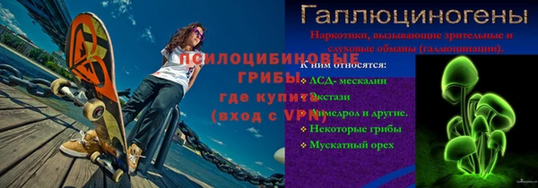 кокс Елизово