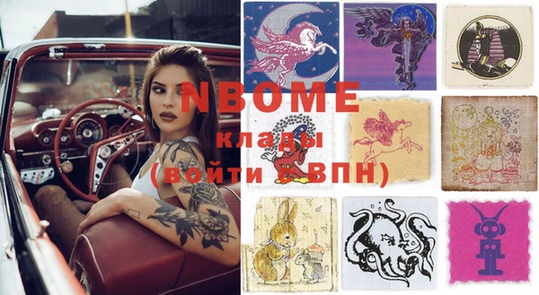 кокс Елизово