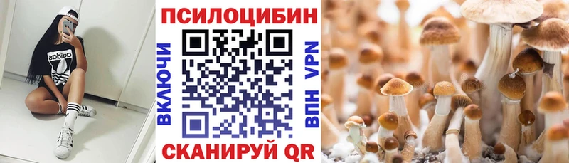 Галлюциногенные грибы Psilocybine cubensis  Монино 
